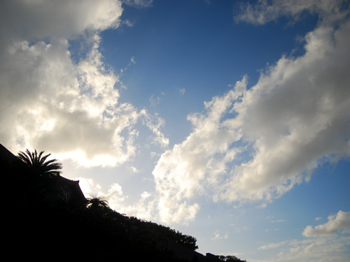 b0041831_2224260.jpg