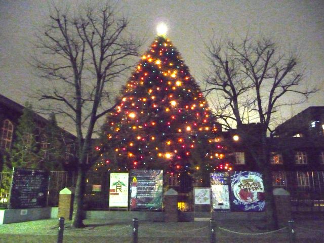 立教大学のクリスマスツリー みかんたろうのなまけたろ