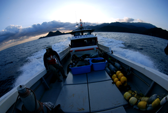 黒島、硫黄島、竹島サンゴ調査!_b0186442_11542596.jpg