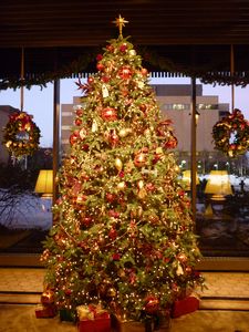 もうすぐクリスマス _b0135948_64069.jpg