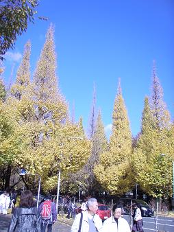 b0124551_20574645.jpg