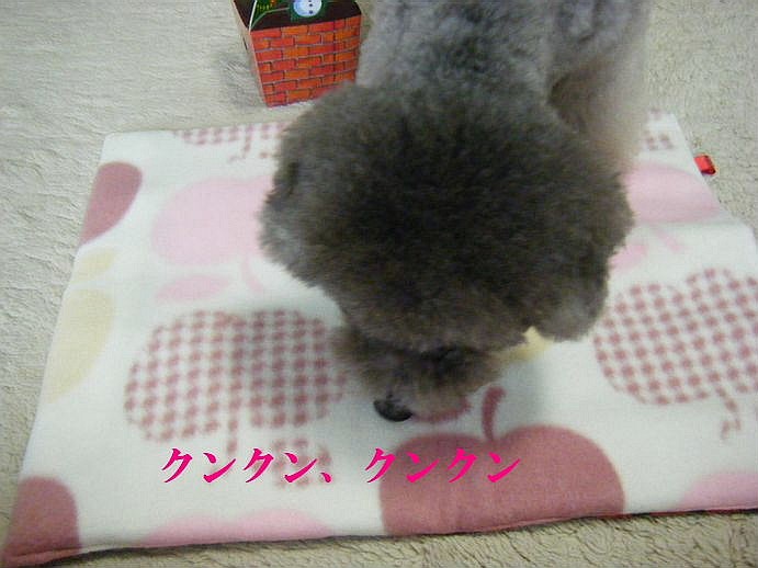 e0129656_22103937.jpg