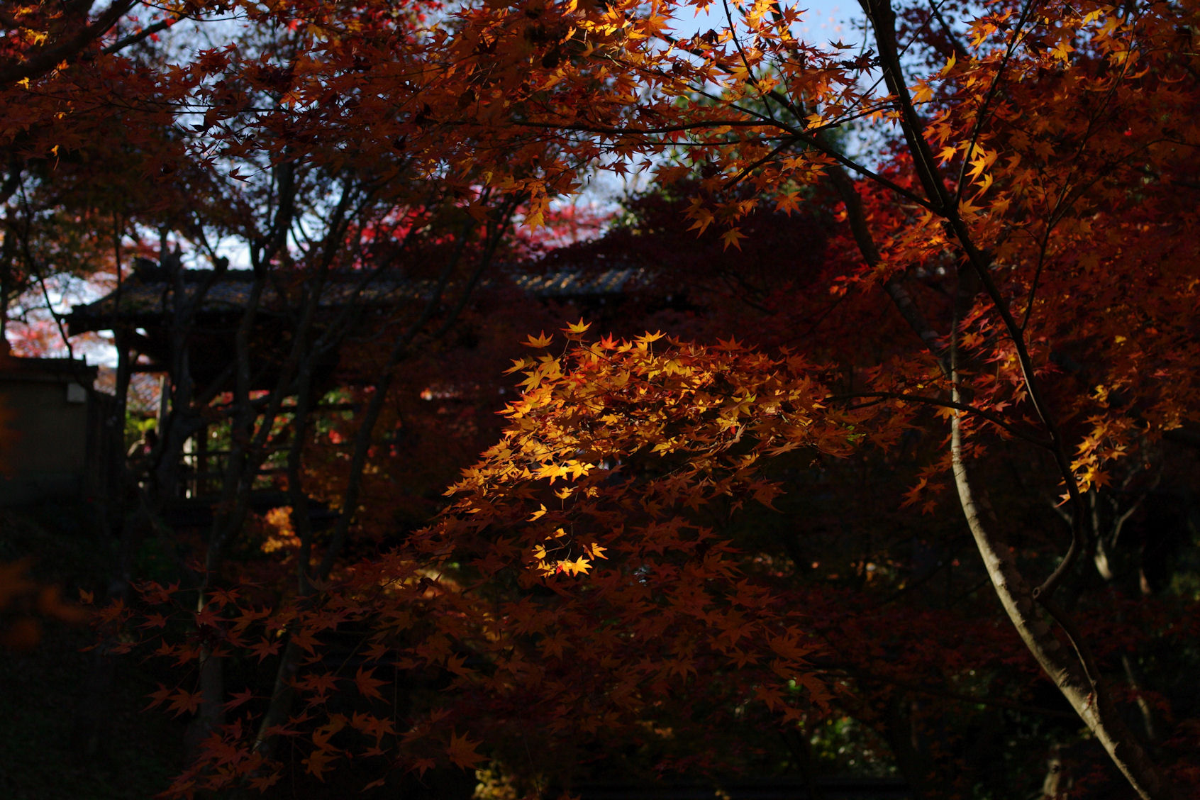f0169170_0254336.jpg