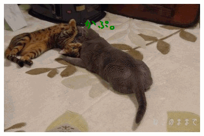 d0150672_2265929.gif