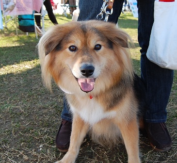 12月9日（水）　写真　（ｂｙ　幸多母）_c0133274_2149225.jpg