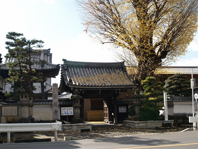 『圓龍寺』の大銀杏（天然記念物指定）_d0054276_2143971.jpg