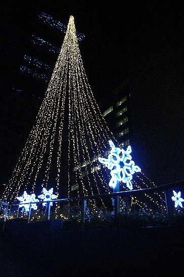 d0129886_12362779.jpg