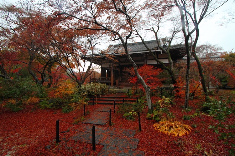 宝筐院_e0051888_20331183.jpg