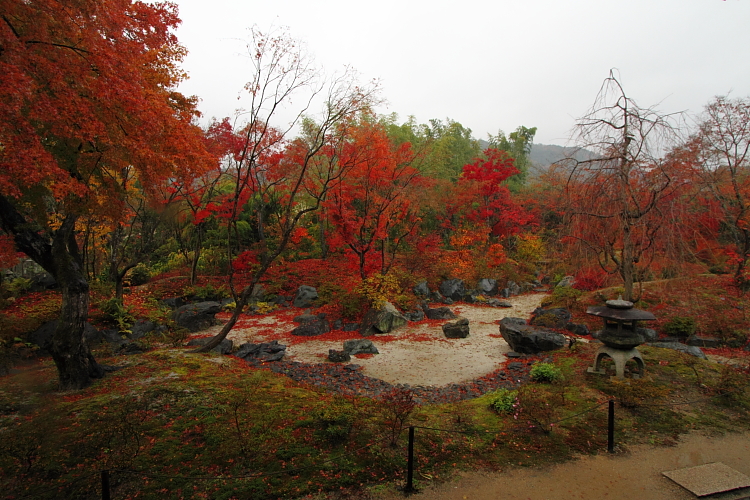宝筐院_e0051888_20333060.jpg
