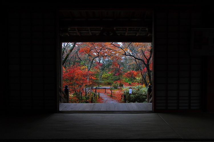 宝筐院_e0051888_20334163.jpg