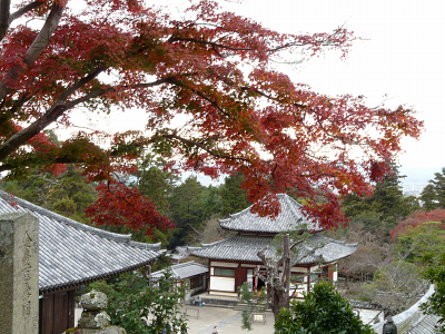 東大寺二月堂から望む紅葉_b0008289_2040932.jpg