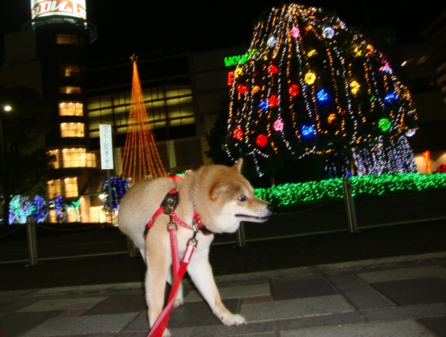 街はクリスマス_a0126590_22133033.jpg