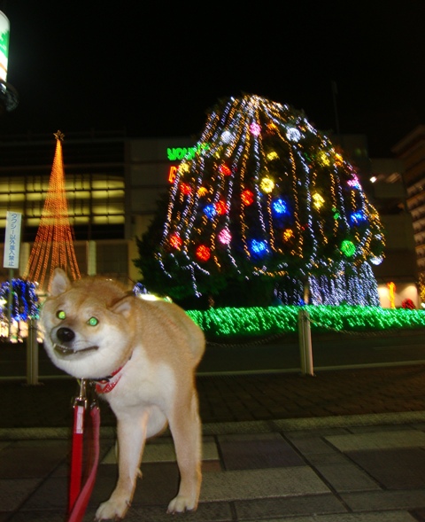 街はクリスマス_a0126590_22134417.jpg