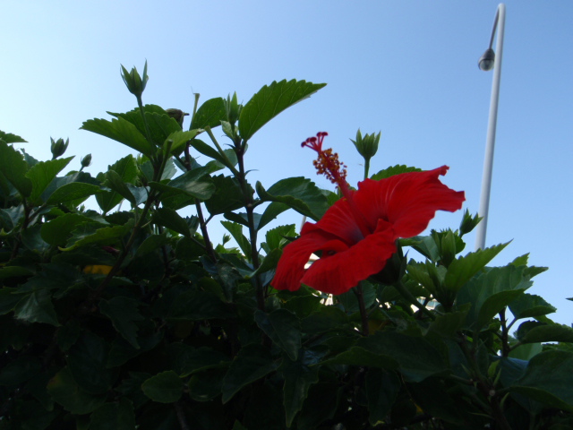 d0034291_8525035.jpg