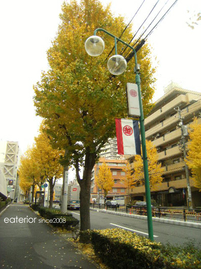 『カシワバアジサイの紅葉』 東山動植物園vol.18_b0142197_109305.jpg