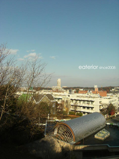 『カシワバアジサイの紅葉』 東山動植物園vol.18_b0142197_109377.jpg