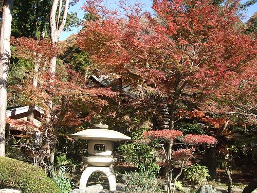 紅葉の鎌倉・師走のひとりごと・_f0153998_9541898.jpg