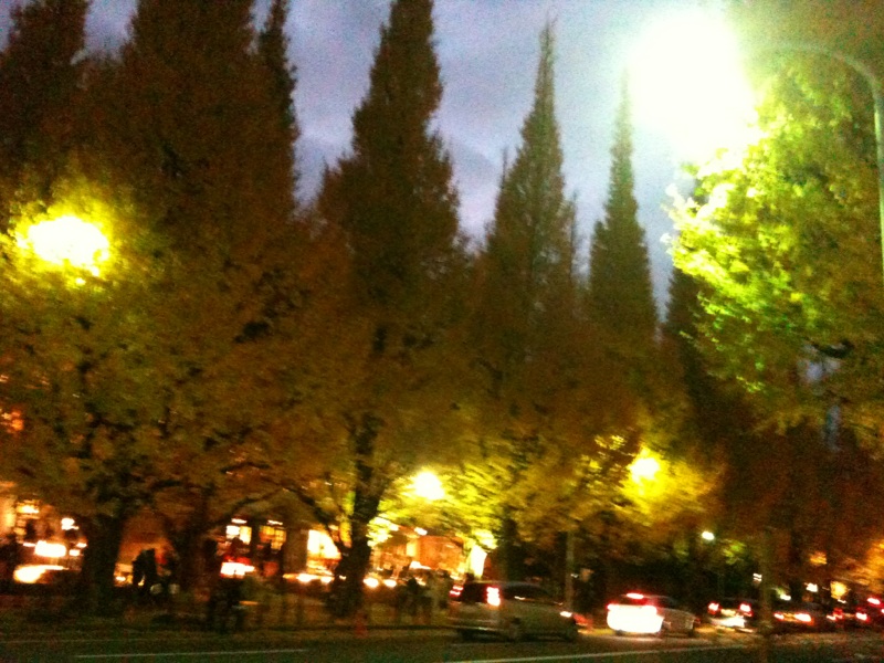 c0171899_22372414.jpg