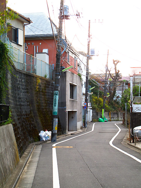 「だいだらぼっち」の川(北沢川下北沢西支流)_c0163001_2346543.jpg