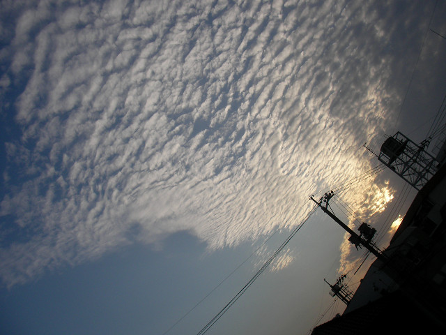 f0054610_1720496.jpg