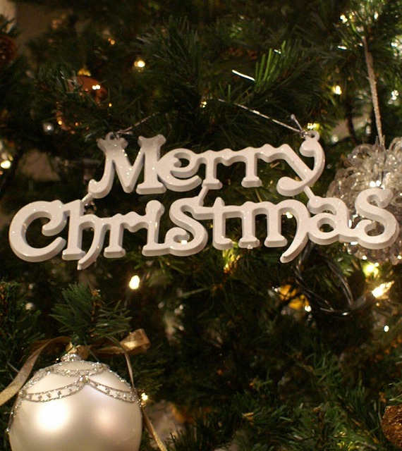 AILAのクリスマス☆_b0115615_13485734.jpg