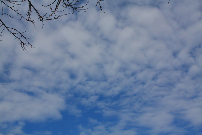 冬の青空_f0181018_22272024.jpg