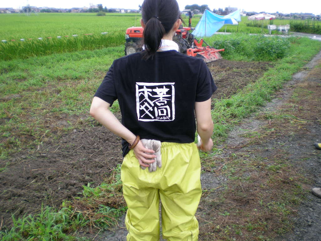 チームそば収穫祭２００９　　　～蕎麦でつながる　あなたとつながる～_f0142721_1925361.jpg