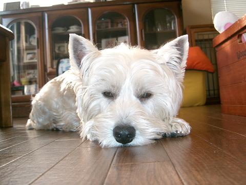 c0212637_21304428.jpg