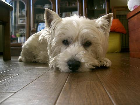 c0212637_2131879.jpg