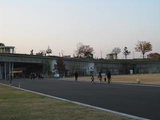 東京インターナショナル フラワー&ガーデンショー2010_e0128446_1620422.jpg
