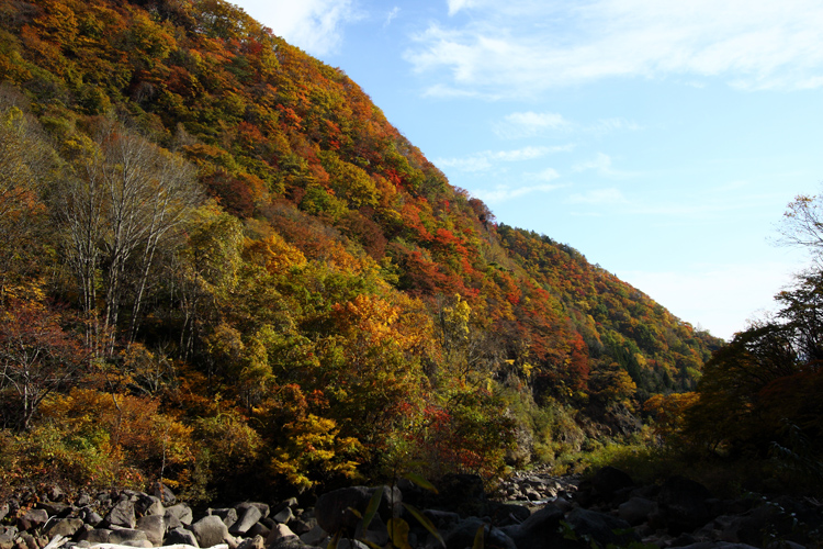 妙高高原苗名滝の紅葉（最終回）_c0198351_6618100.jpg