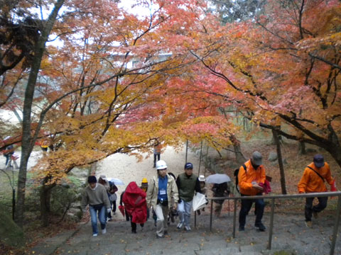 12．宝満山山麓の史跡と北谷の鶏ご飯_c0125356_1430113.jpg