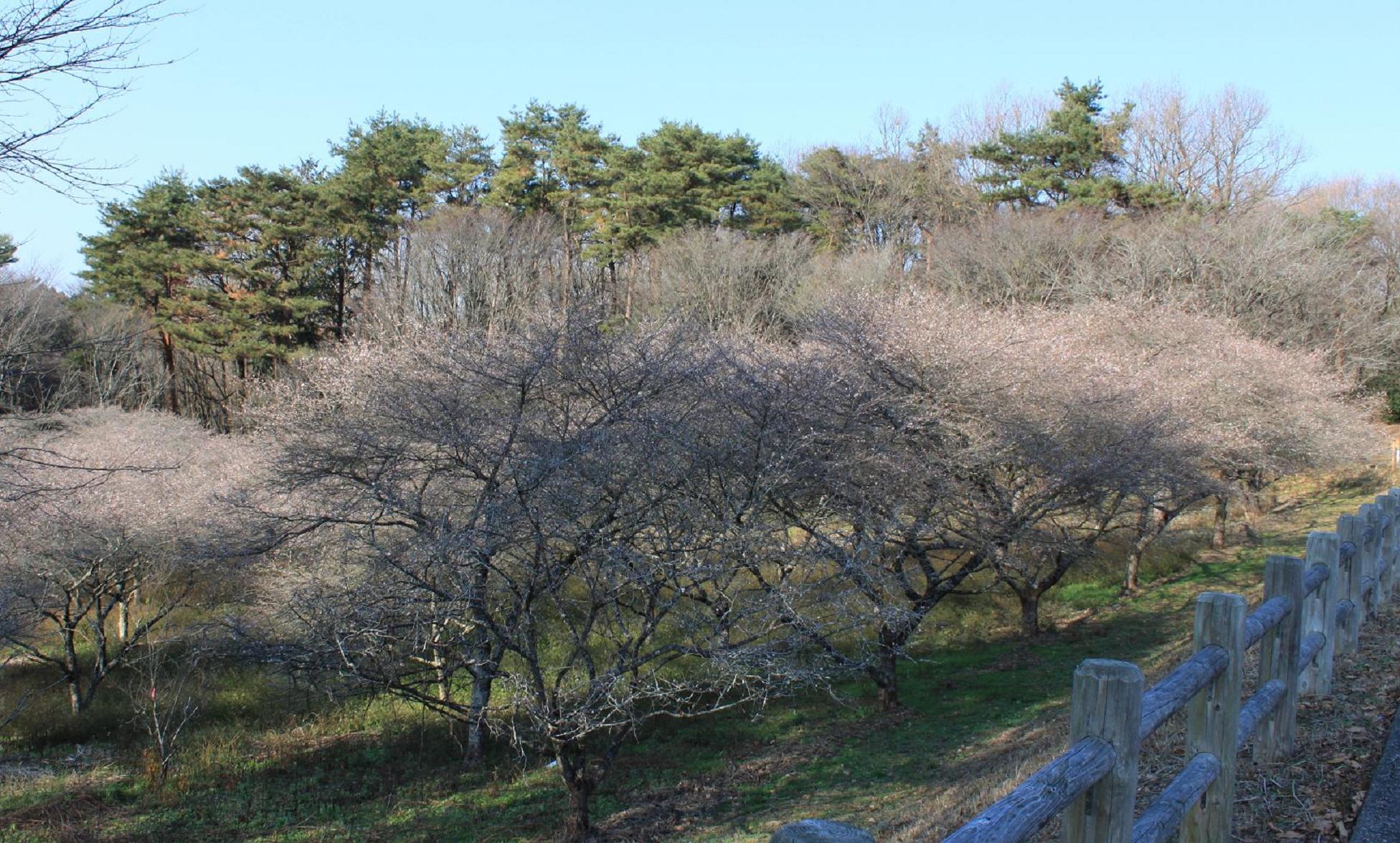 お気に入りの公園_c0205456_22204836.jpg