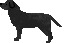 c0117058_2126876.gif