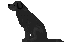 c0117058_2128631.gif