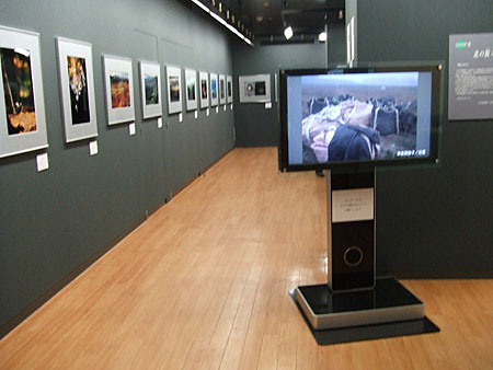 e0083559_201946.jpg