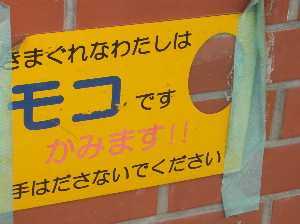 d0152269_1341479.jpg