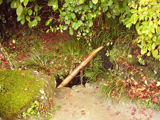b0075371_06562.jpg