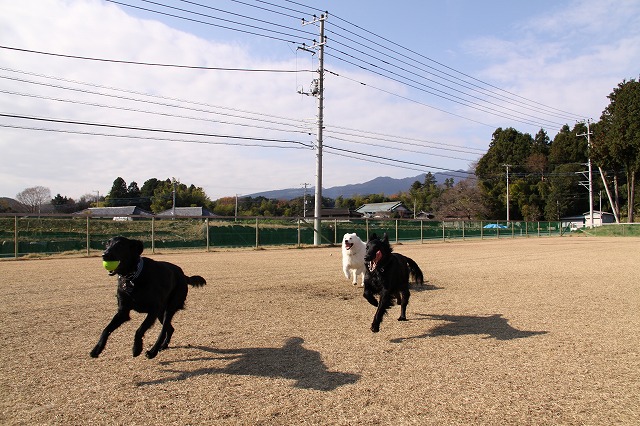 レイちゃんお別れ会　in　Ｍ’ｓ_d0116574_2173019.jpg