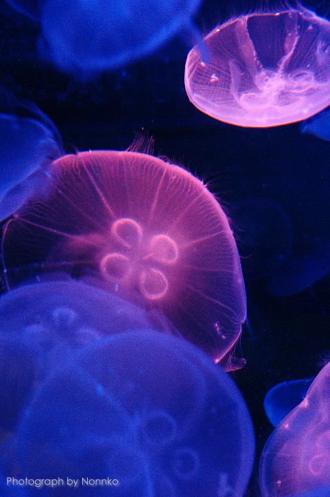 c0106977_22492367.jpg