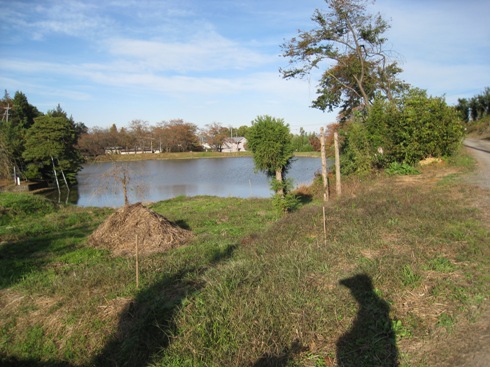 a0087378_944186.jpg