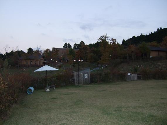 c0121183_11113936.jpg