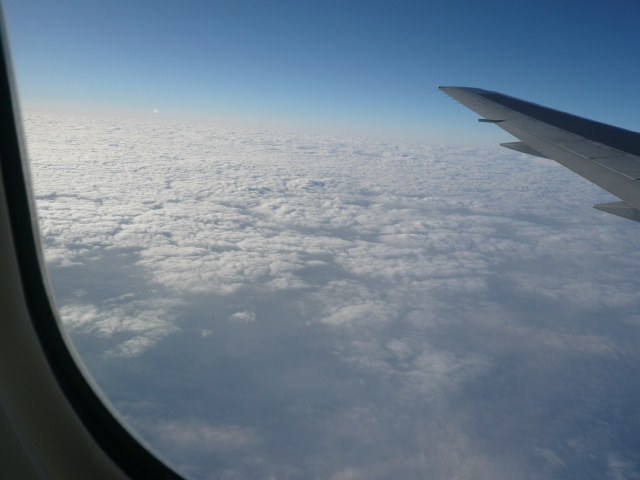 台湾旅行2009 帰国編(9日目)_f0097683_2023645.jpg