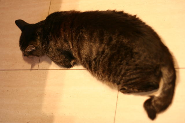 c0129389_94361.jpg