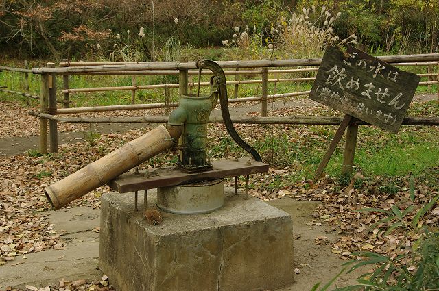 e0070891_1758089.jpg