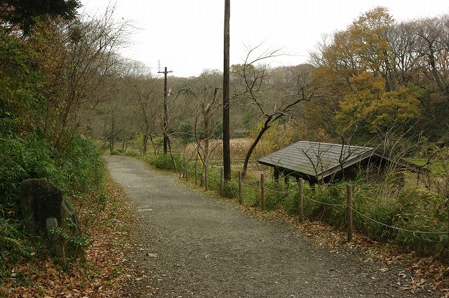 e0070891_1828586.jpg