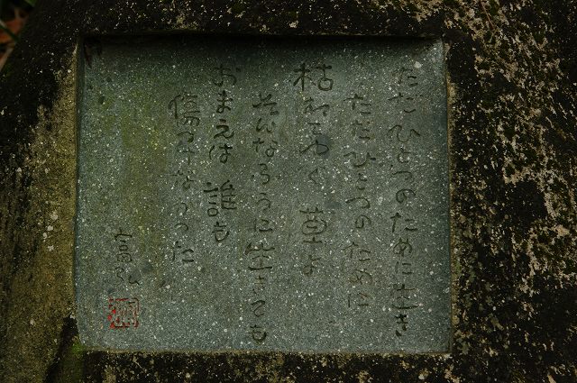 e0070891_183163.jpg