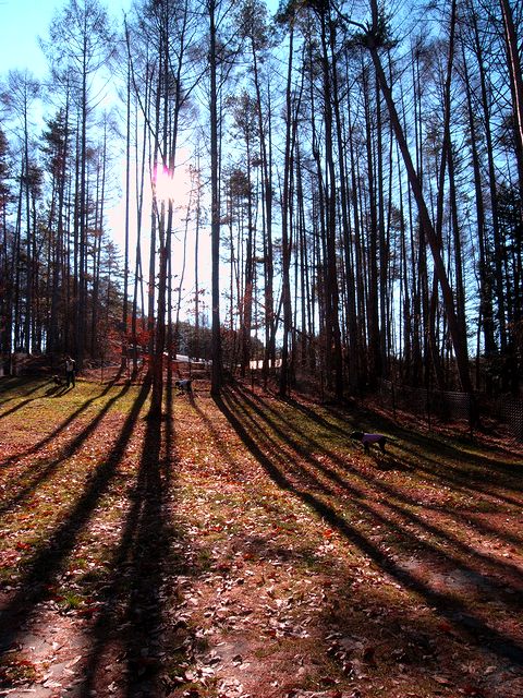 樽を抱えて三千里（そんなには、無かったか・・・）5-7 Dec 2009_a0093592_23224687.jpg