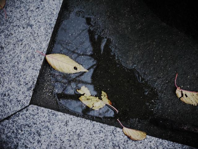 c0198903_21305877.jpg