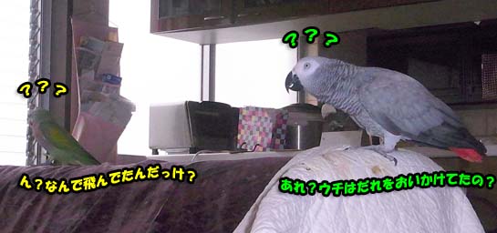 c0133013_1682874.jpg